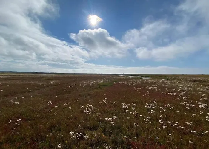 6 Person In Laeso-by Traum Laeso